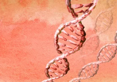 An illustration of several DNA helices on a light red water color background